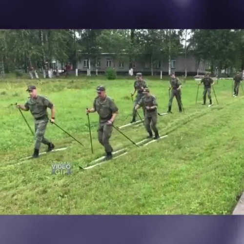 Снегопад снегопадом, а газоны сами себя не подстригут!