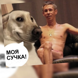 20-летнюю беременную девушку арестовали за секс с немецкой овчаркой