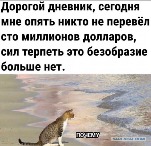 Отряд быстрого деградирования