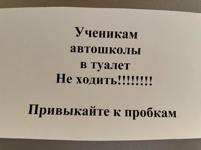 Перлы 04.06.24