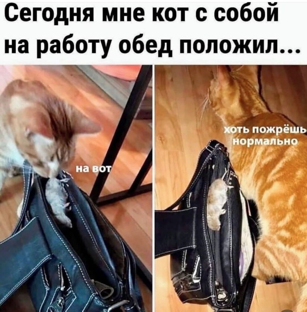 Картинки разные с надписями и без