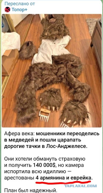 В США мужчина переоделся в костюм медведя, чтобы поцарапать свою машину и получить за нее страховые выплаты