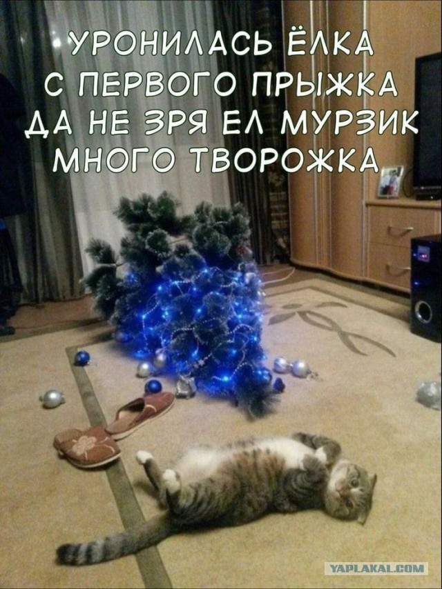 Так себе картинки 31.12.24