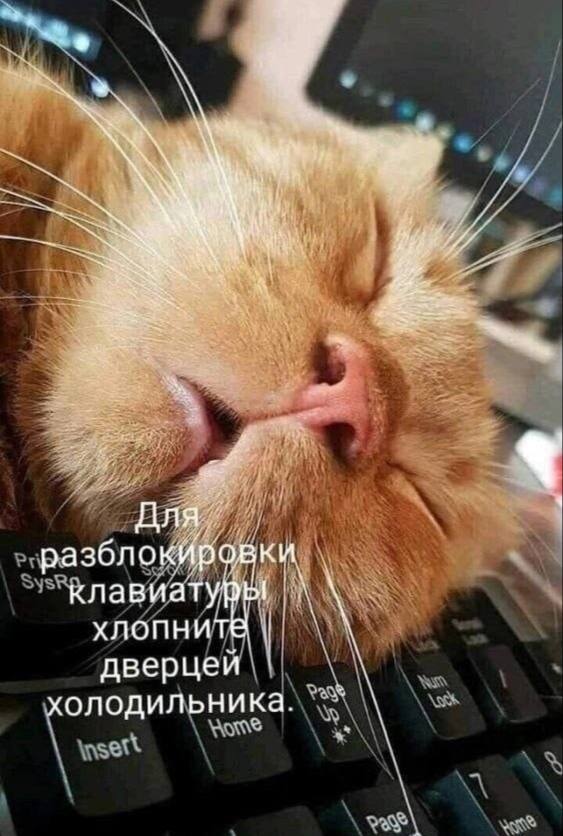 Картинки со стишками депресняшками - 10
