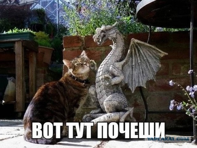 Давно не было....