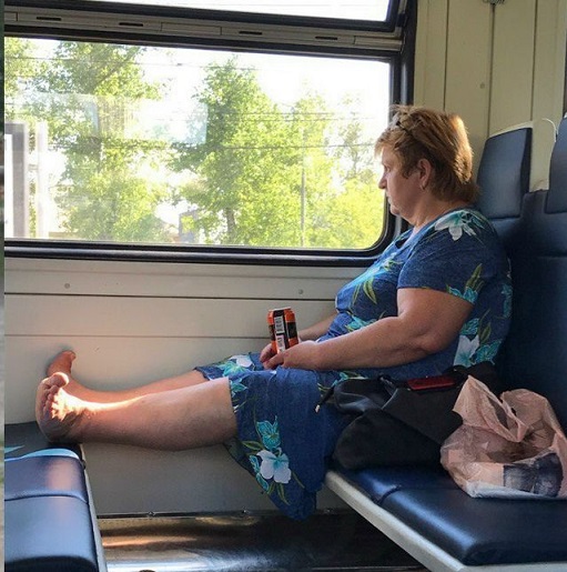 Мой кот