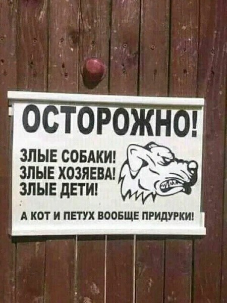 Так себе картинки 22.08.26