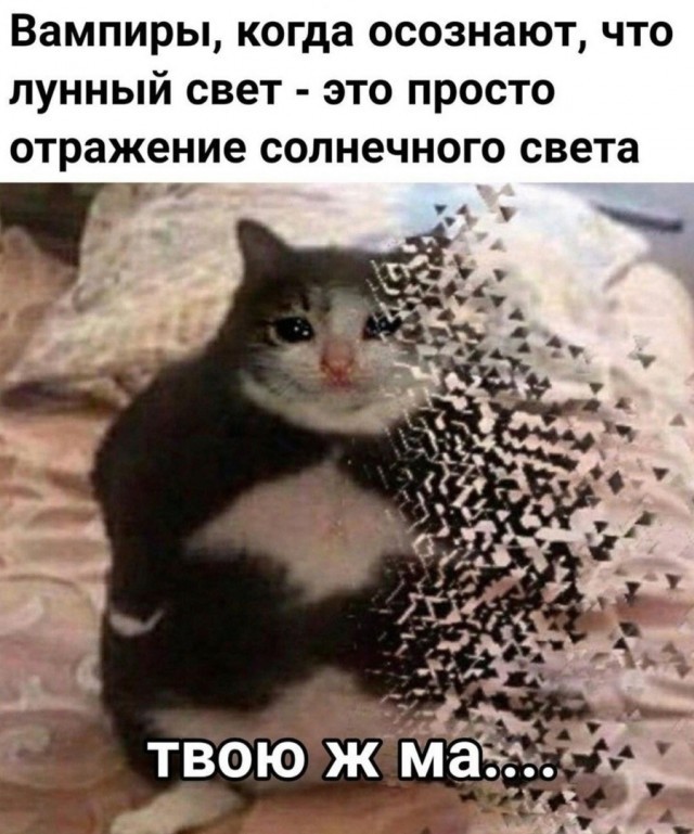 Картинки для деградации 278 (разной степени свежести)