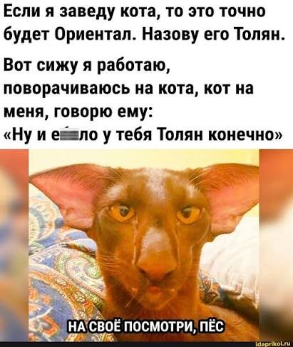 Шутки со мной шутить вздумал?