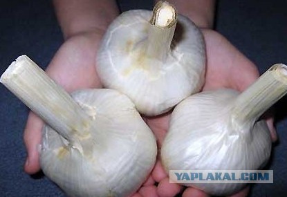 Теперь ты видел всё