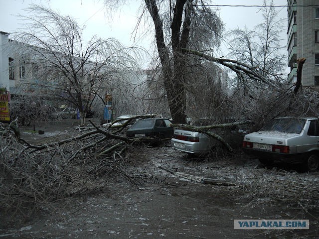 Краснодар в глазури