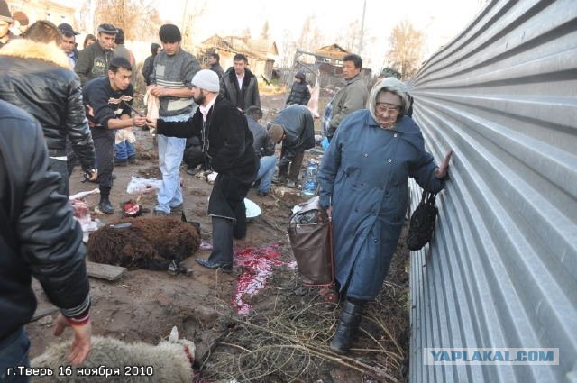 Жрите мясо!