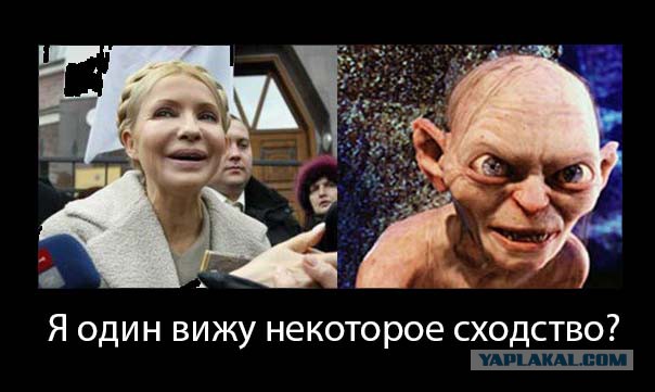 Единственный способ победить на выборах.