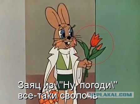 Картинки