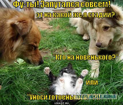 Чёрт, чёрт, чёрт!