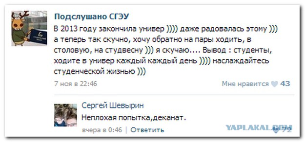 Смешные комментарии из социальных сетей 11.11.2014