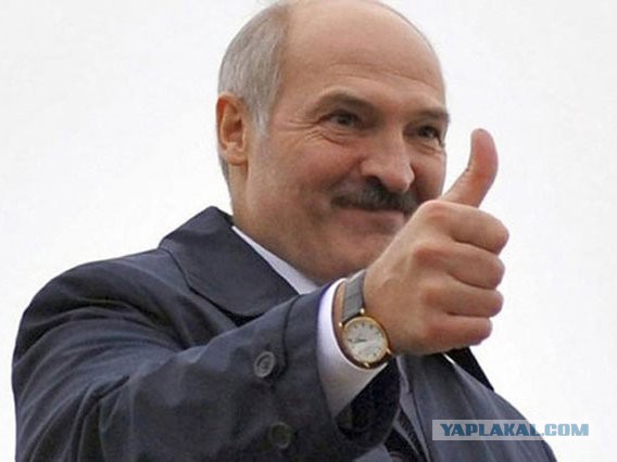 Чирлидерство в  Беларуси