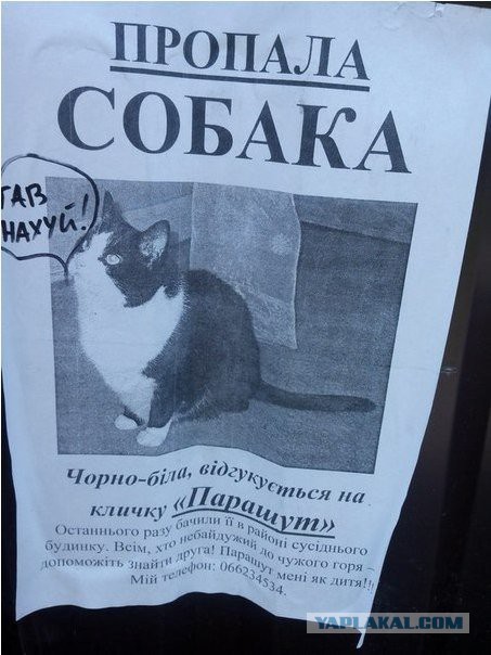Простота хуже хамства или почему я не верю