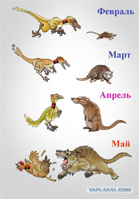 Политические карикатуры