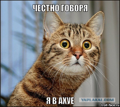 Бетонометры Китая