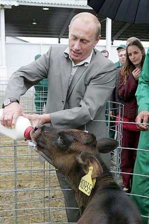 Ваше поле арестовано!