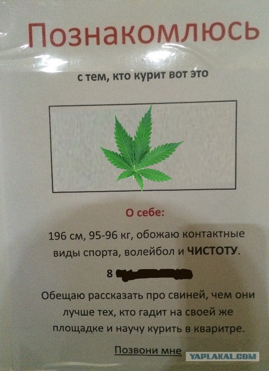 "Познакомлюсь..."