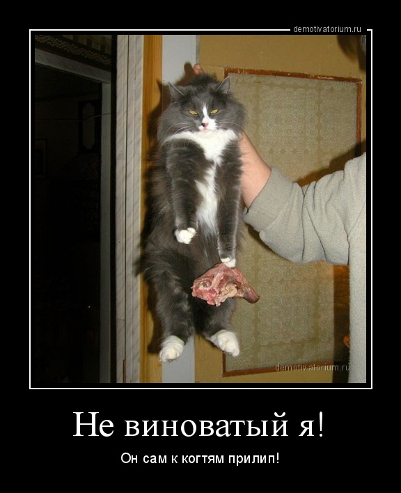 Пойман с поличным...