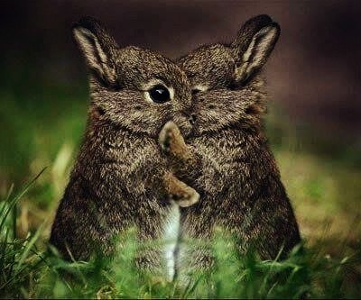 Картинки на рабочий стол