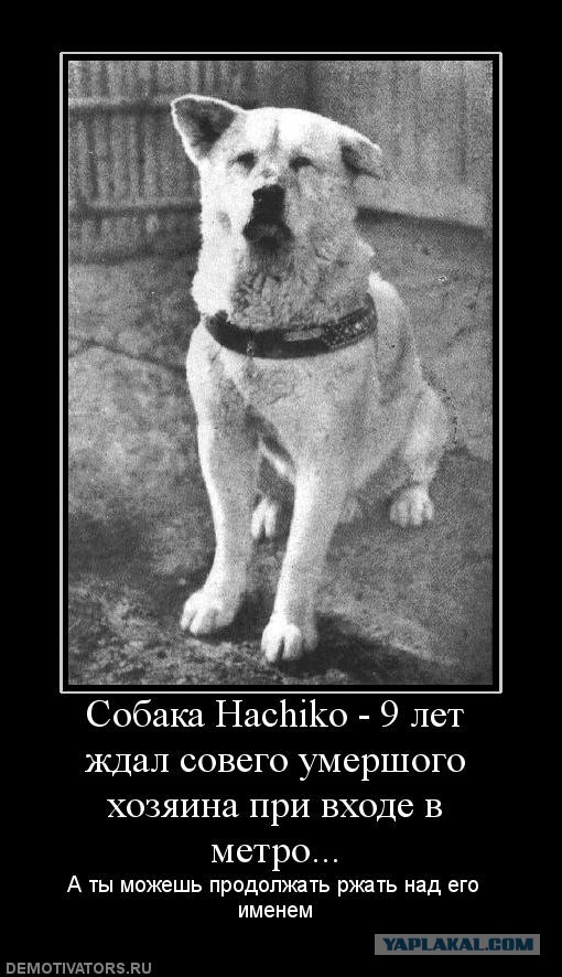 Пёс вернулся домой через 10 лет