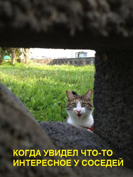 Подборка картинок