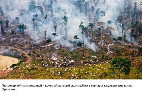 Интересные и веселые картинки