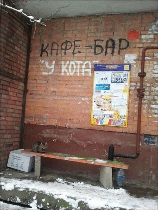 Подборка интересных и веселых картинок