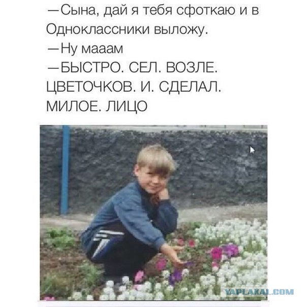 Смешные комментарии из соцсетей