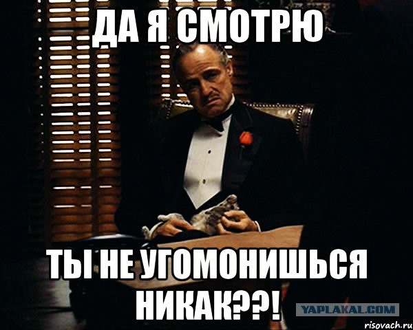 Строю Надёжный и долговечный дом, стены