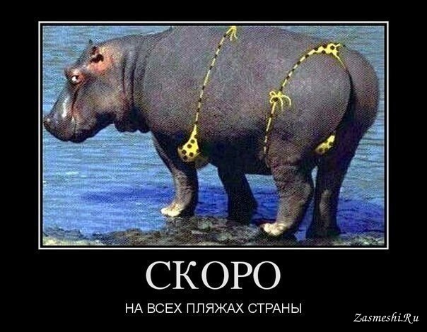 Что то лета захотелось