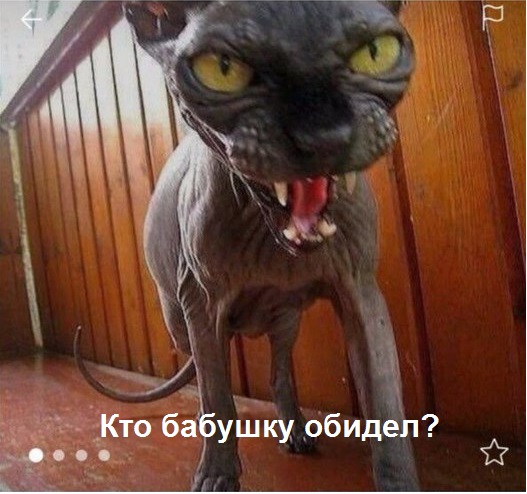 Порция картинок на субботу