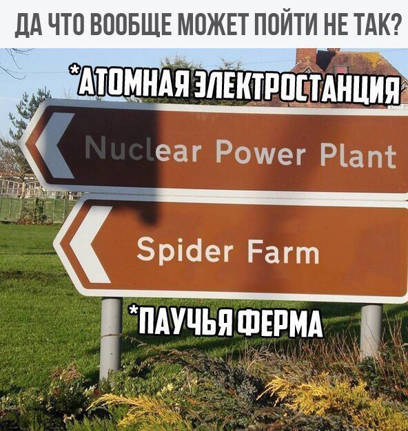 Тупанём?