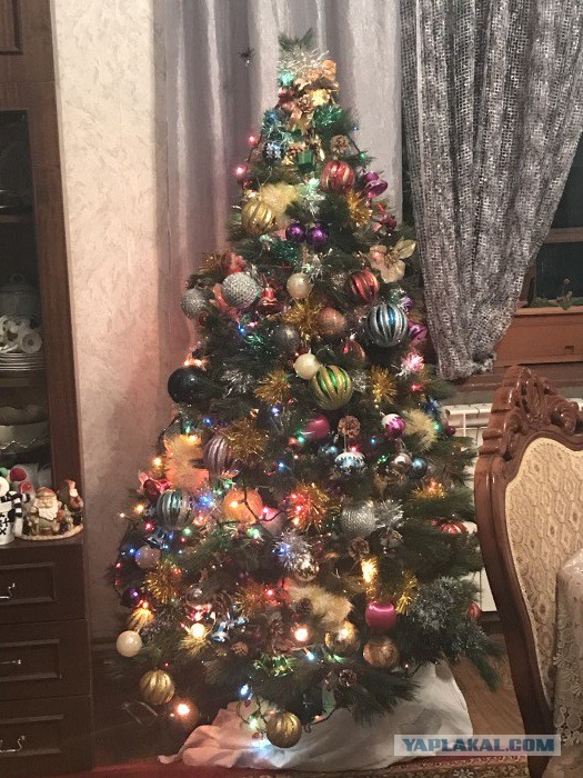 А давайте Ёлками меряться!?