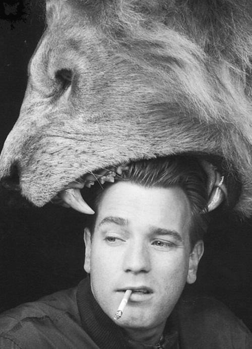 Картинок всяких