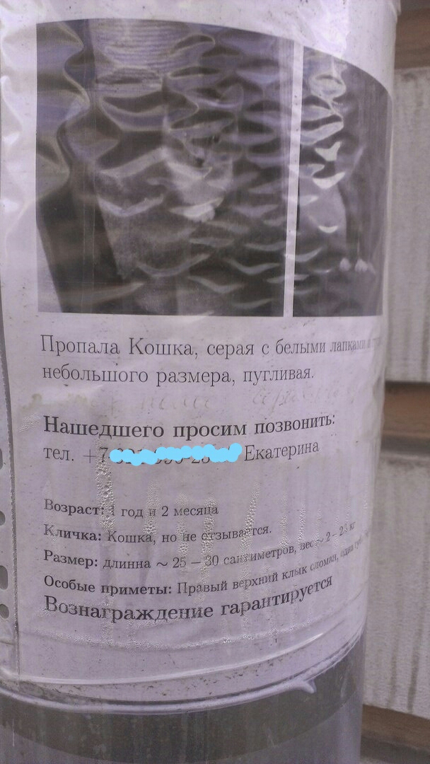 Я сдался в рабство