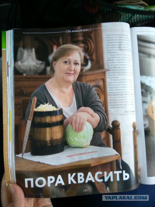 С Днем Рождения, ЯП! 14 лет