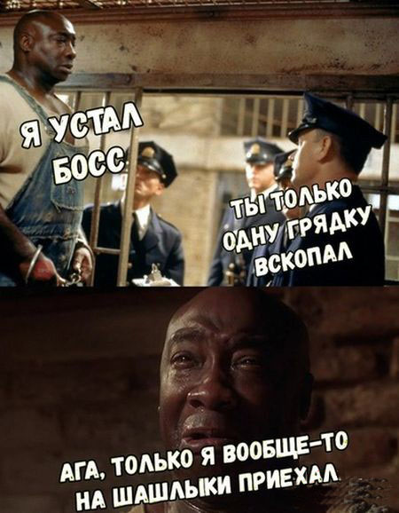 Прикольные картинки обо всём