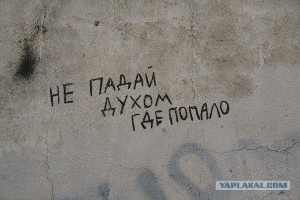 Мысли уличных философов