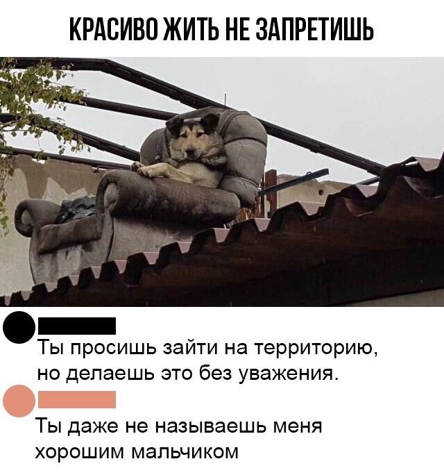 Немного картинок на вечер