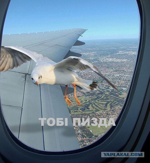 Аж кровь стынет в жилах...