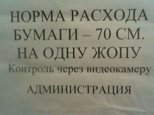 Применим физику в постели или белка и стрелка. Картинки