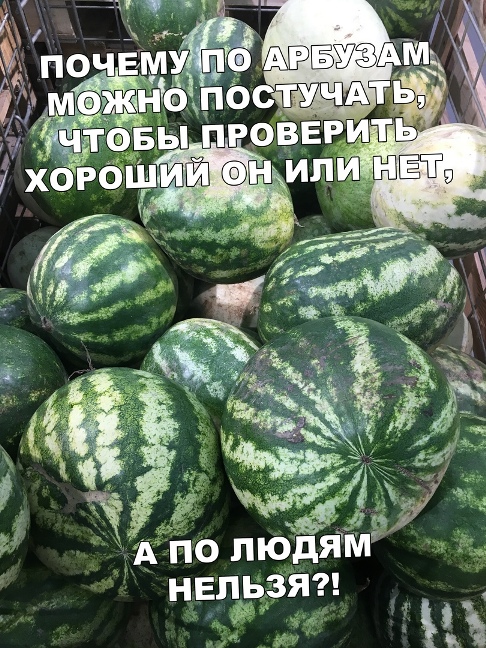 Картинки с надписями, истории и анекдоты 13.09.19