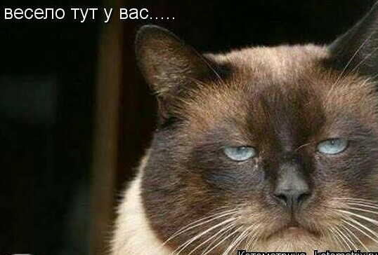Разборки двух сел в Дагестане