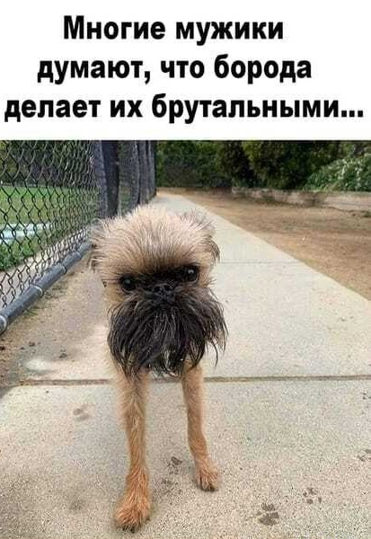 Юмор в картинках 31.07.20