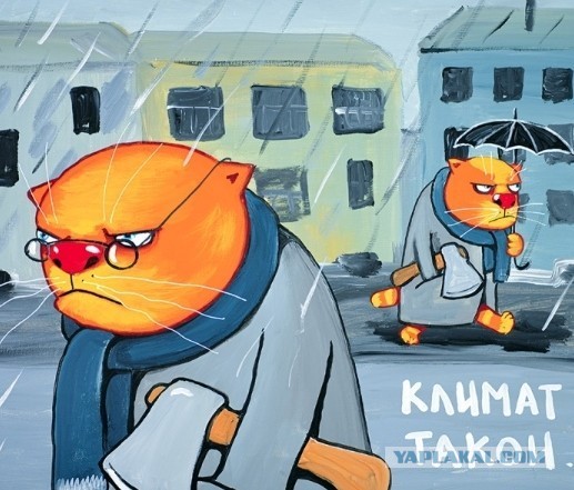 Не бойтесь развода. Женская версия